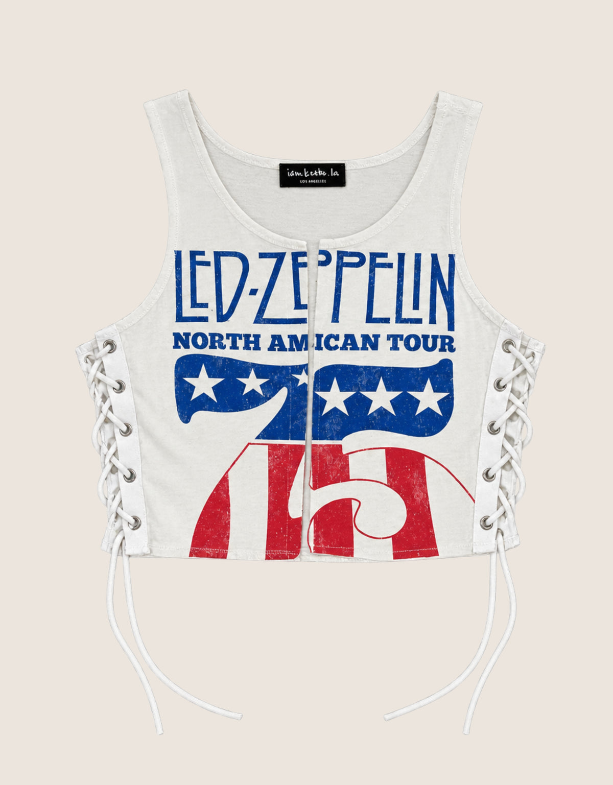 led zeppelin hook and lace cropped tank (M/L)
