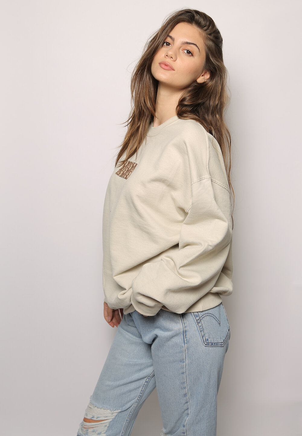 dior patch oversized crewneck sweatshirt
