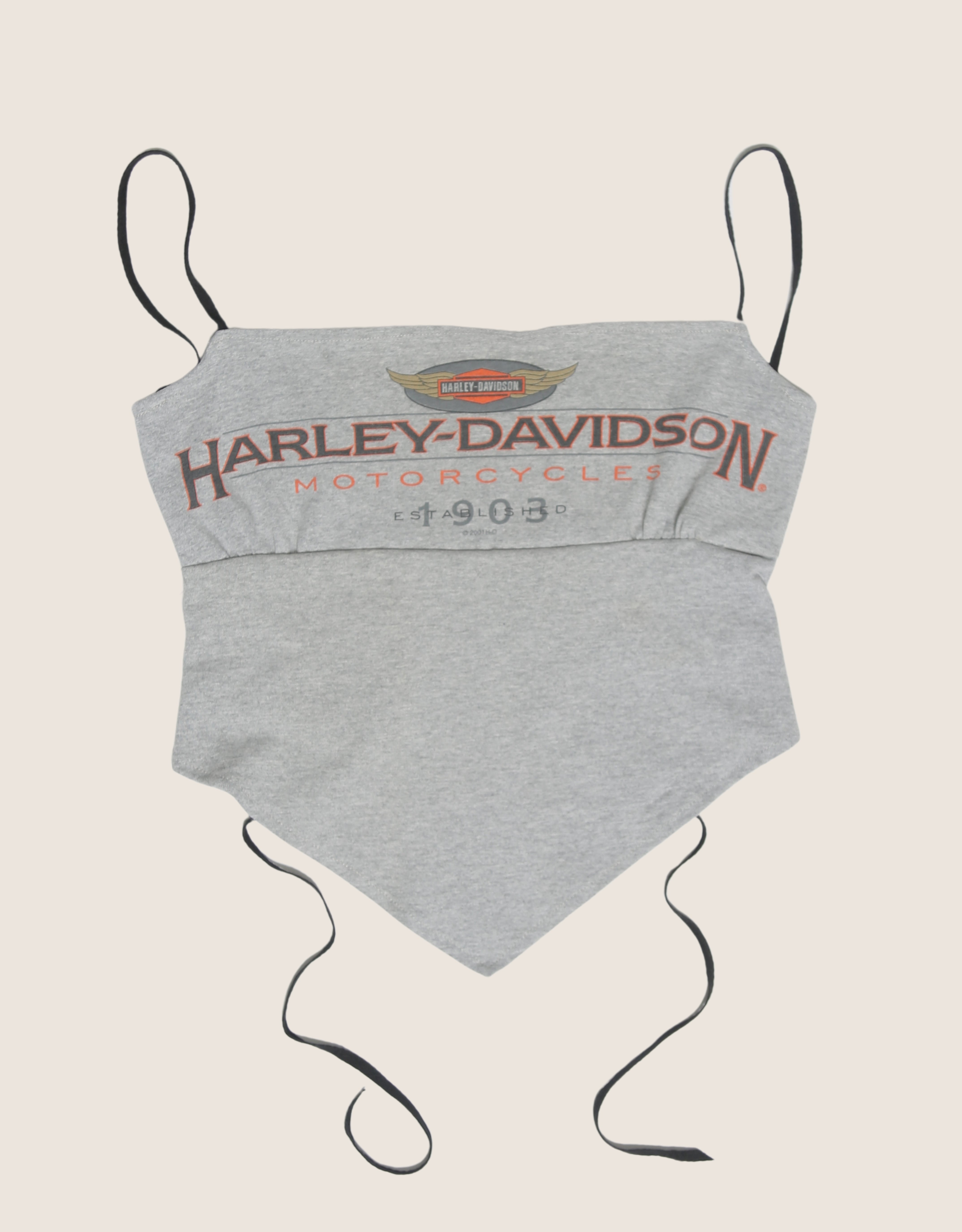 harley 1903 reworked backless top (S)