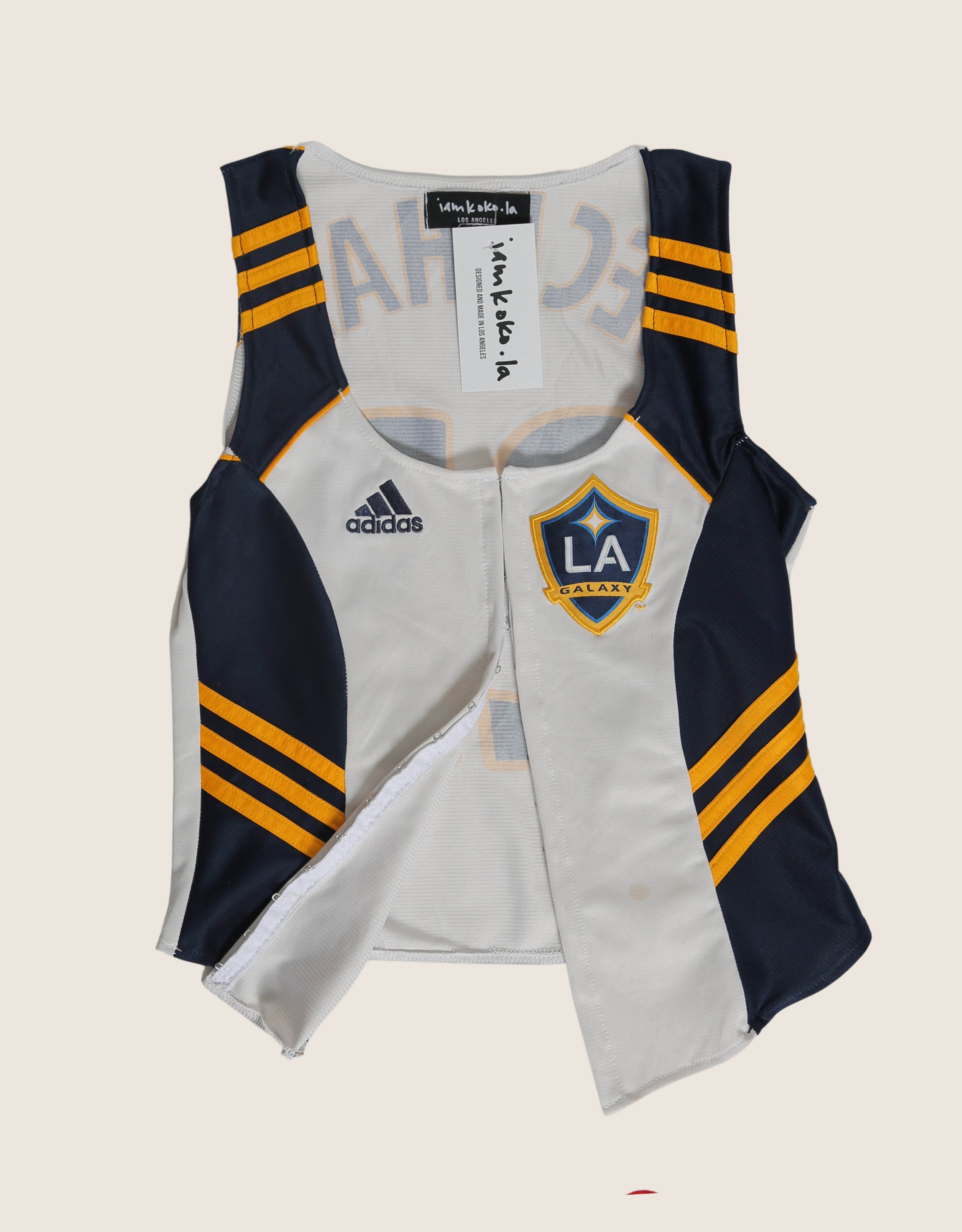 la galaxy hook and eye tank
