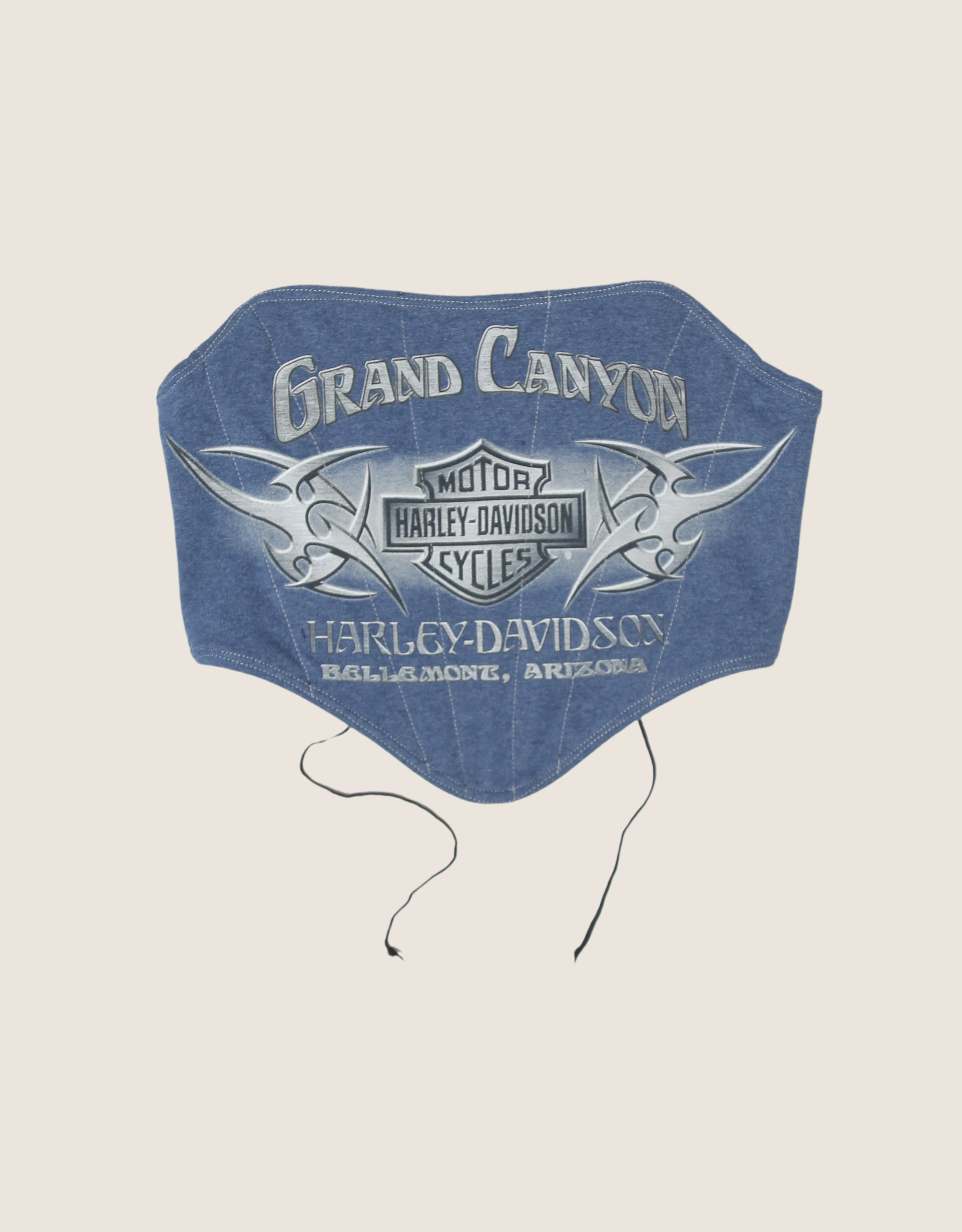 grand cayon harley strapless corset (small/ medium)