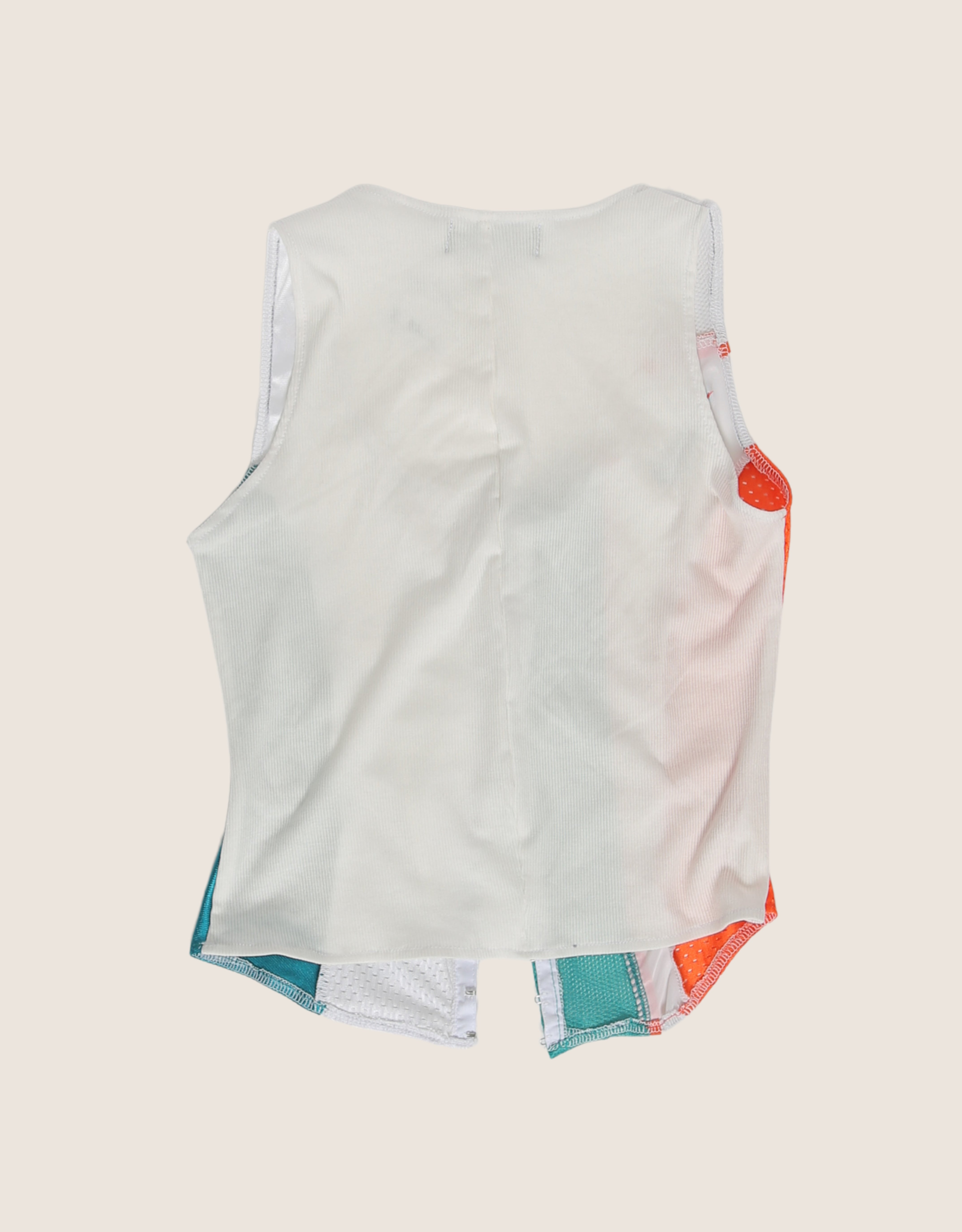 dolphins hook and eye tank