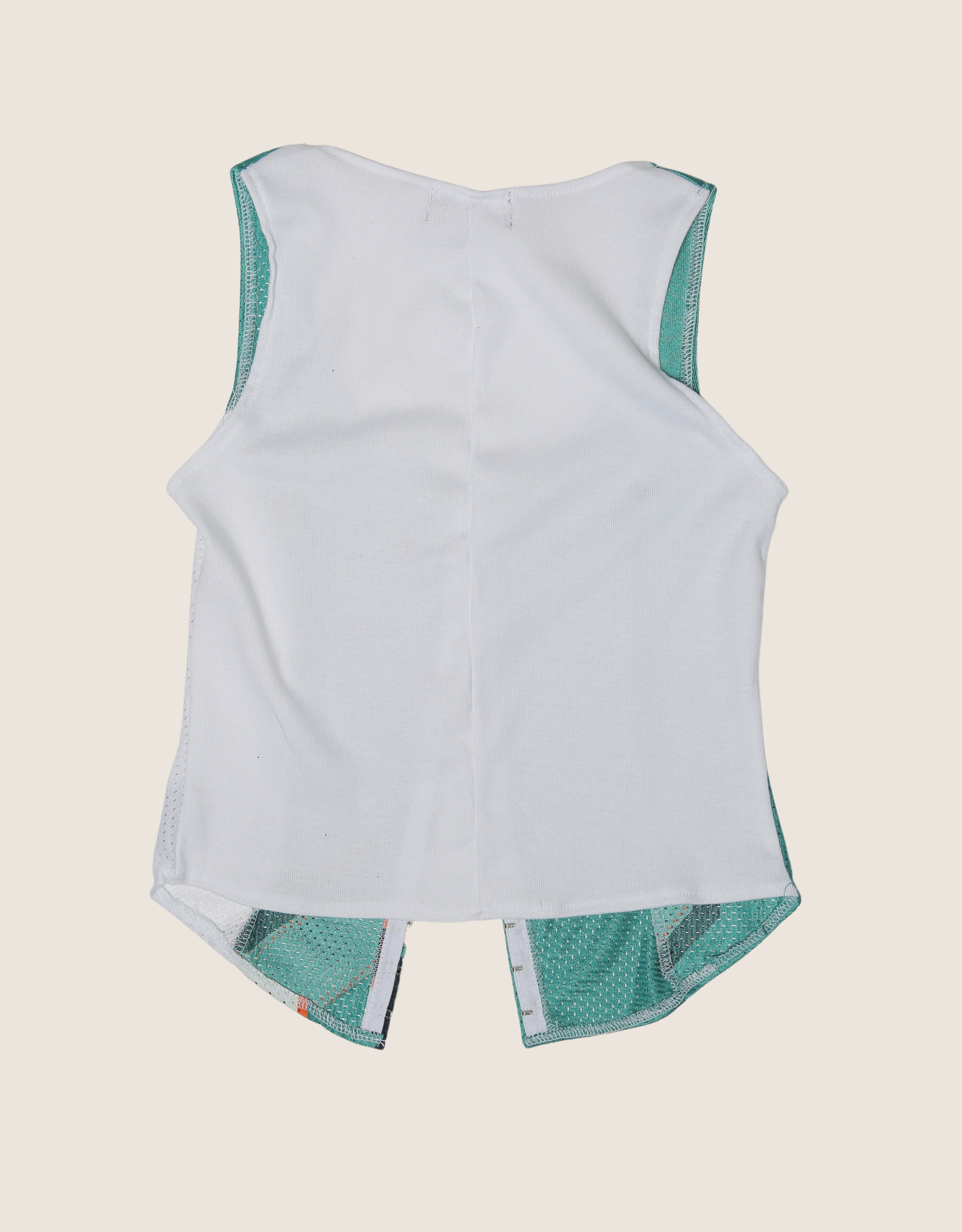 dolphins hook and eye tank (small)